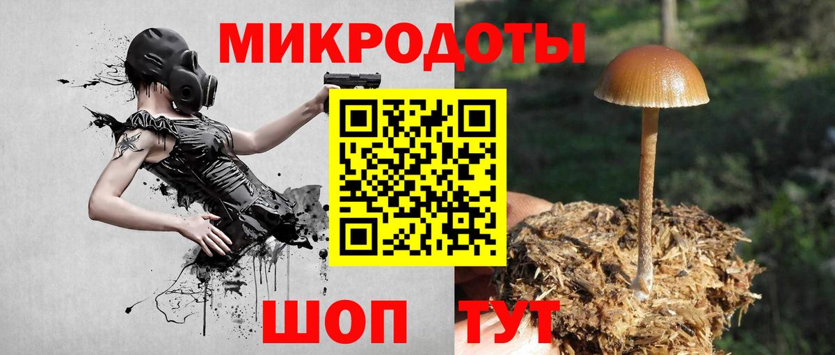 Галлюциногенные грибы ЛСД Елец