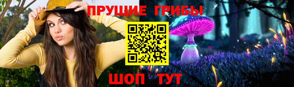 наркошоп  Вход с VPN  Галлюциногенные грибы Magic Shrooms  Елец  Псилоцибиновые грибы GOLDEN TEACHER 